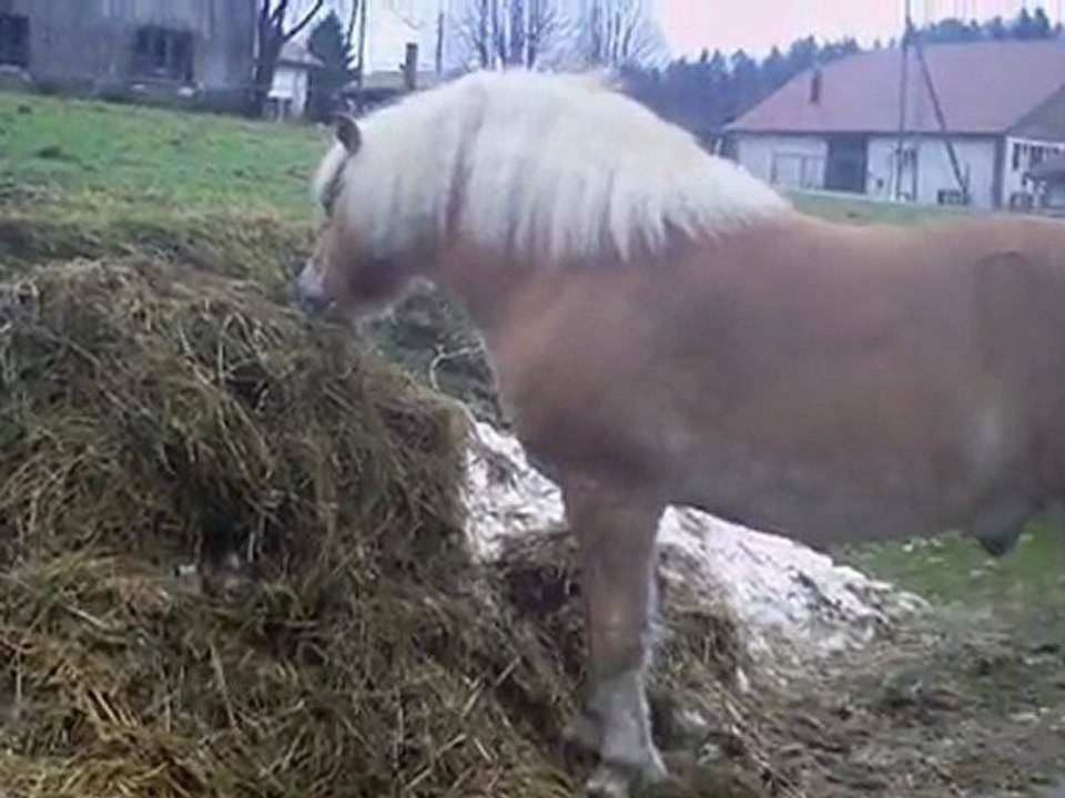 Valentin