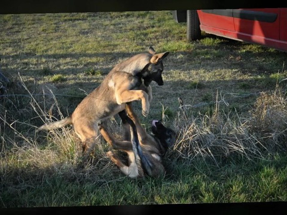 Be Aware Delwood & Da'Grizzly-Letz fetz!