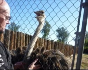 2011 - The Year in Video (Daily Motion test)