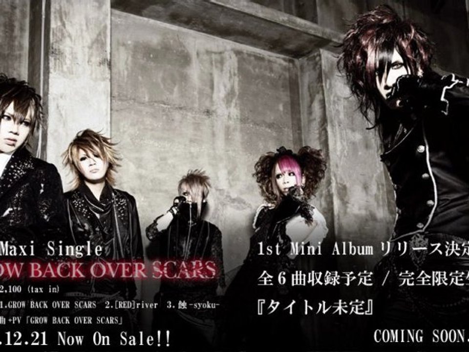 Signal - glow back over scars