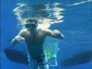Moana Adventure Tours Ocean Sharks Watching !!!!