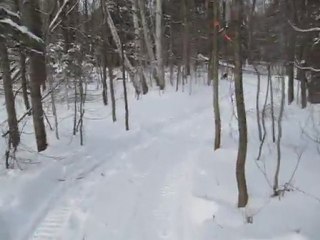 MVI_2303 Marais Provancher