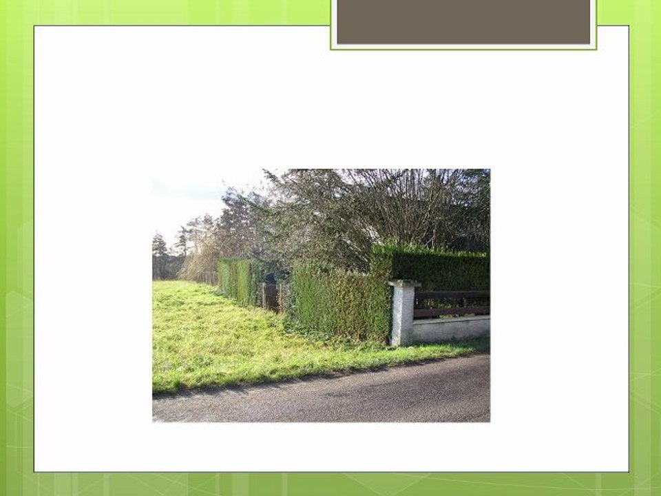 Taille d’une haie de thuya par un paysagiste Yvelines Eure