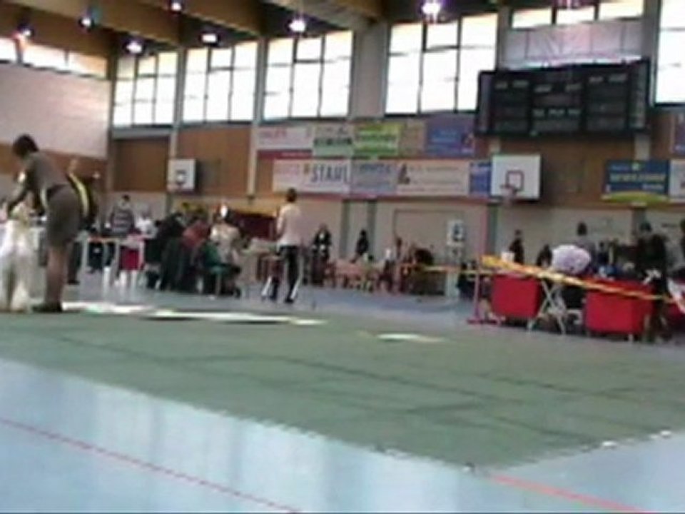 Adorah`s Day and Night 27th November 2011