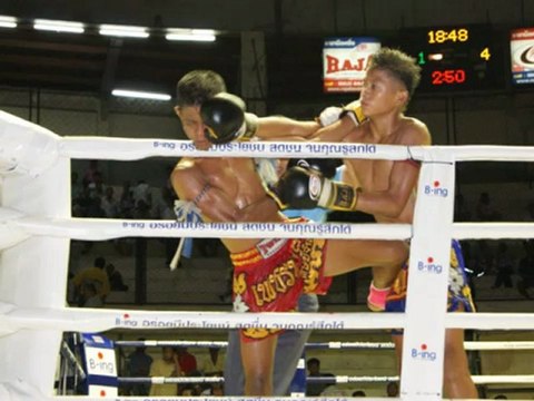 MMA Travel Guide - Muay Thai Training in Thailand & Learn Jiujitsu in Brazil