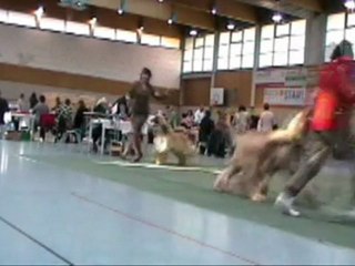 Stew 27th November 2011