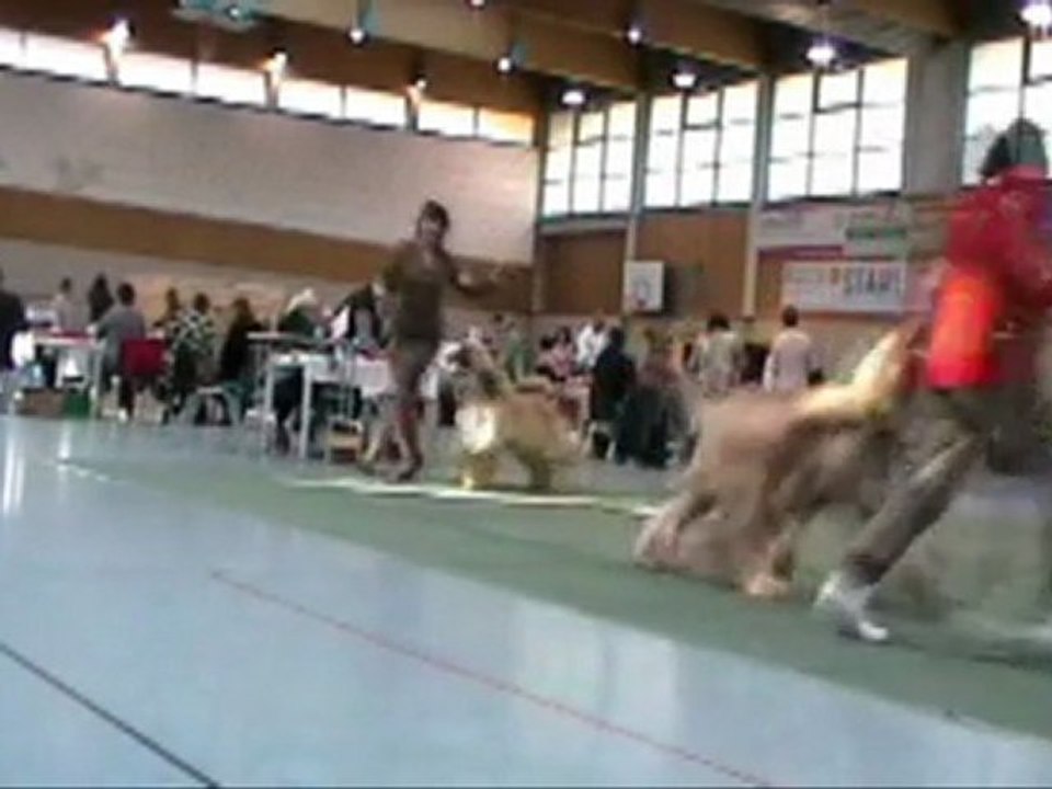 Stew 27th November 2011