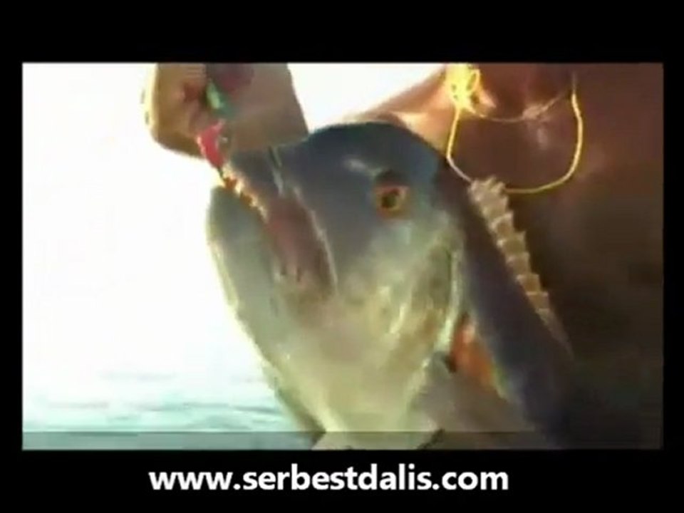 JİGGİNG Tekniği ve BALIK AVI