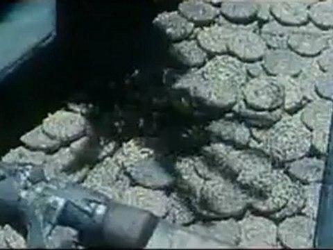 Pirates des Caraïbes la Malédiction du Black Pearl bande annonce vf