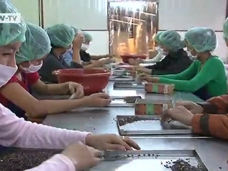Fair trade: purple rice from laos | global 3000
