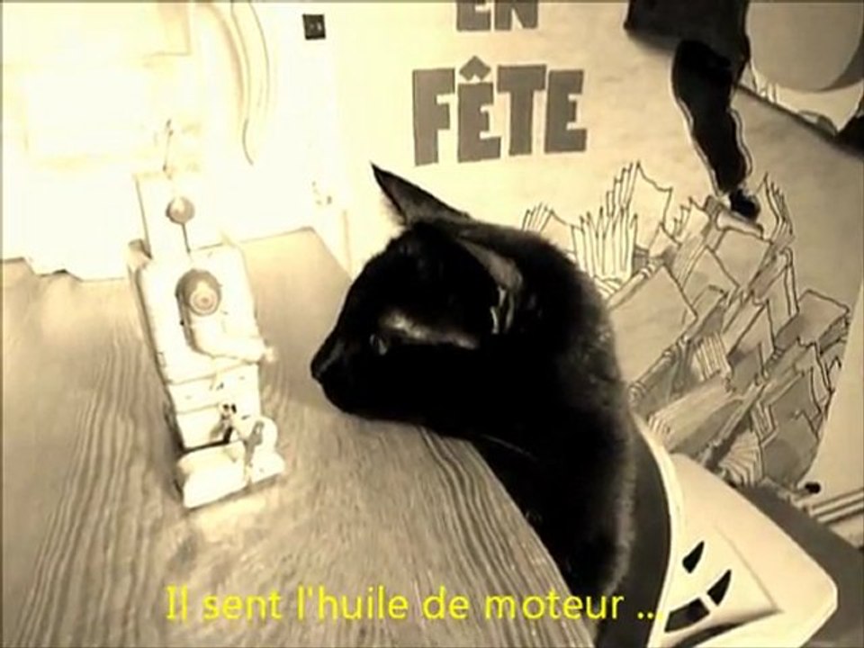 Mystère Rue des Ormes