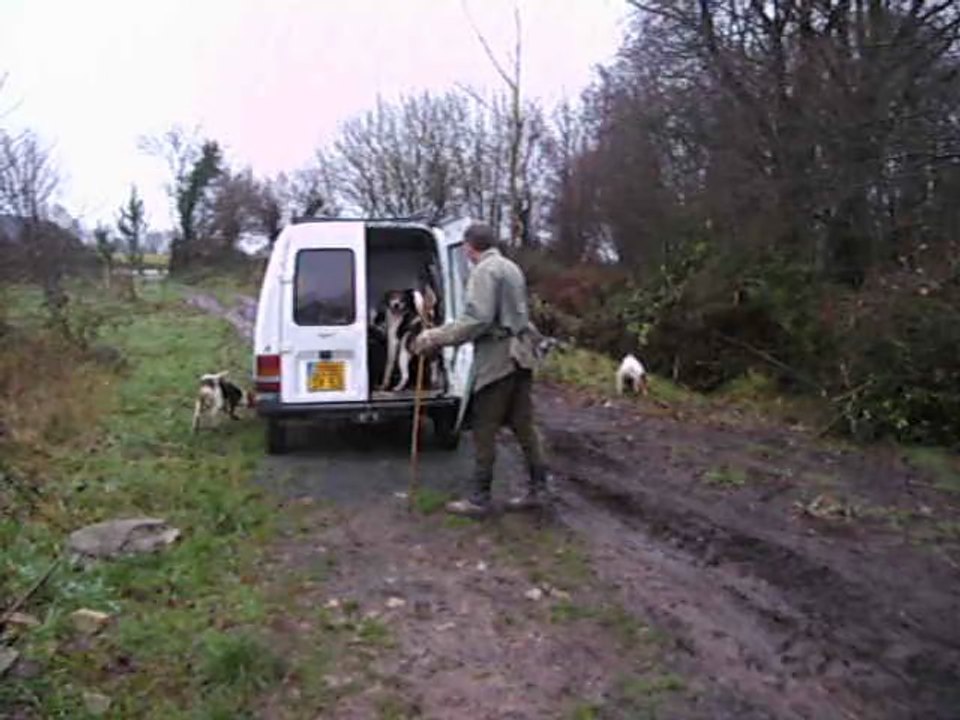 Vénerie du lièvre : la montée des chiens dans la camionnette