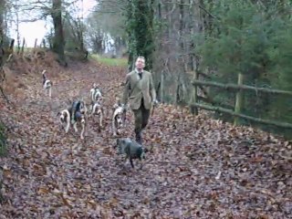 MaVénerie du lièvre : la rentrée au chenil