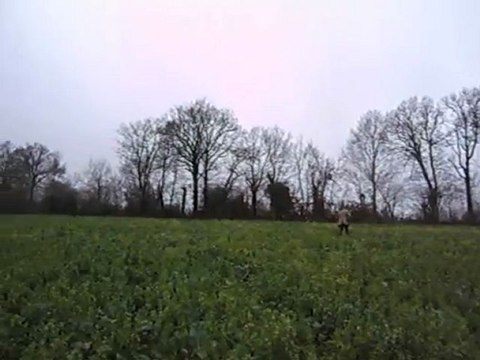 Vénerie du lièvre : le lancer de l'animal de chasse