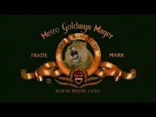 Steve Irwin Mix Molly Hatchett Gator