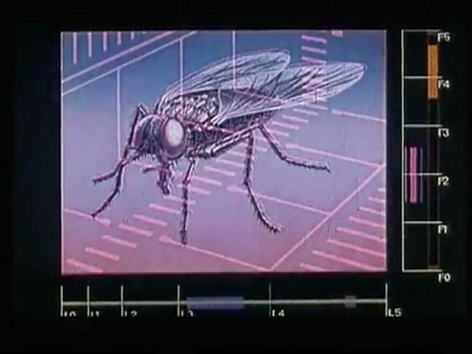 La Mouche ( bande annonce VF )