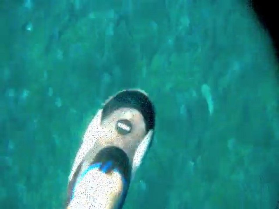 Fonds Sous-Marins Mascali