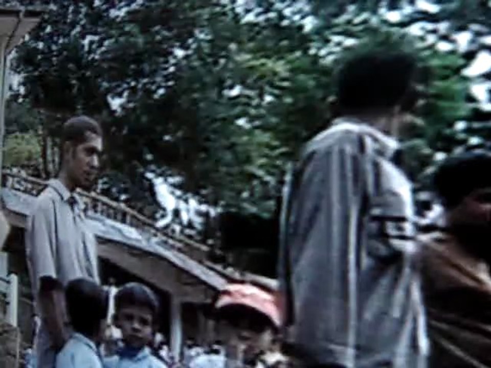 Animal Planet and Travel Channel - the very short shape of the exampled story