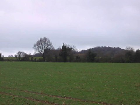 Vénerie du lièvre : le relancer