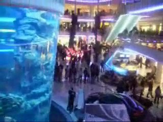 Crazy Day ! Christmas On Morocco Mall