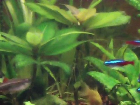 Soirée pour ..nous deux.. 2em version ..accord plaqués..