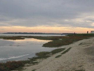 Sortie à la découverte des Grandes marées de la Baie de Somme