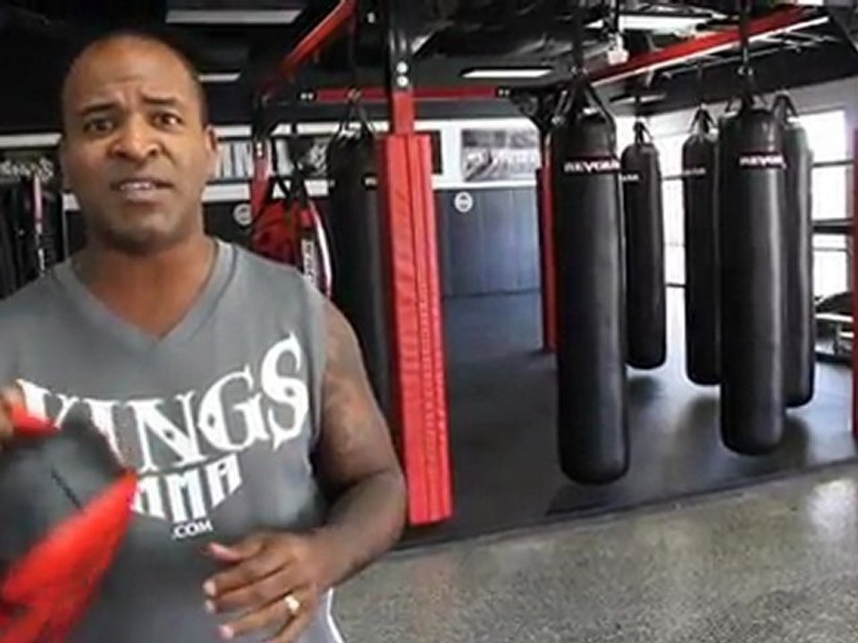 Revgear Mini T Micro Thai Pad - Combat Collection Fight Gear