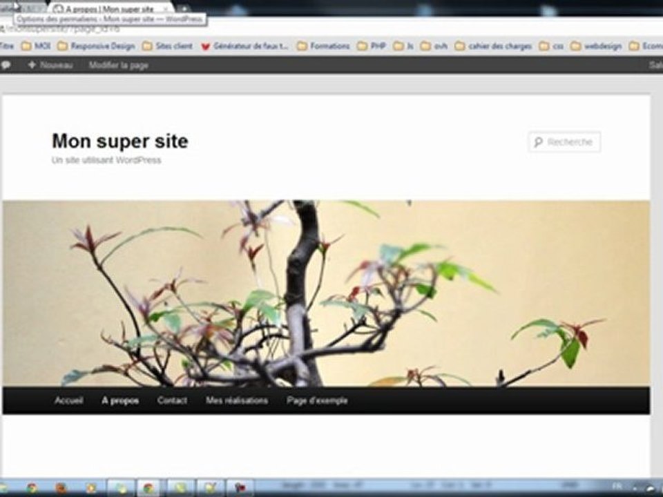 Un aperçus de wordpress
