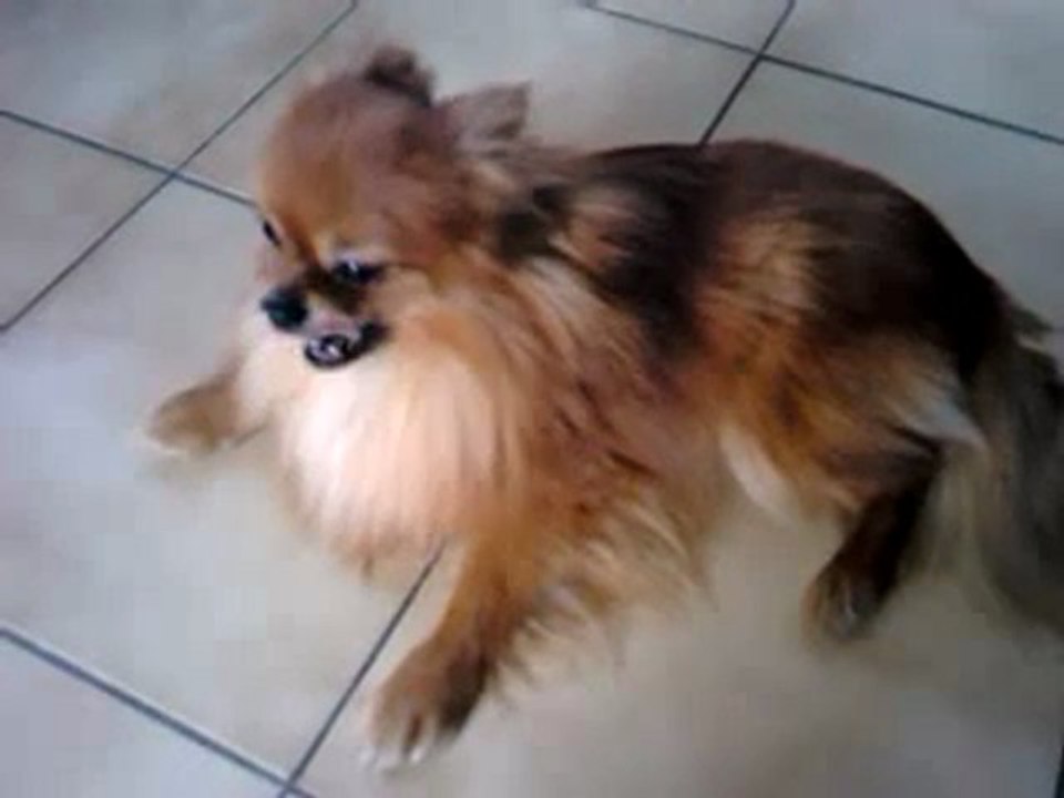 video-2011-12-10 11.20.04