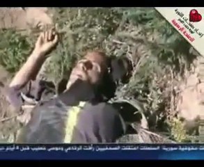 HZM مساج من بسيكو آم