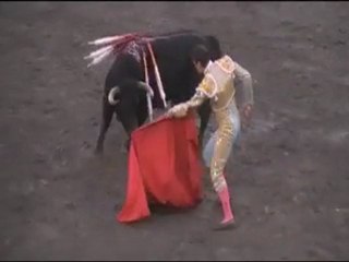 Daniel Luque MANIZALES