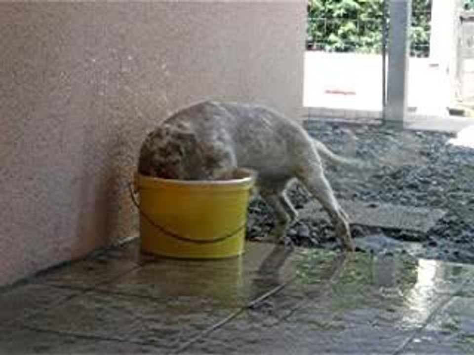 le nouveau jeu de Bulle!!!