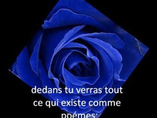 ne me quite pas (Ait menguellet)