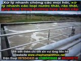 Hệ thống xử lý nước thải - xử lý nước thải thủy sản với chế phẩm sinh học Weviro