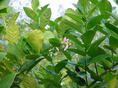 Ganbare Tohoku 2012 -Sun rises and Sun sets-