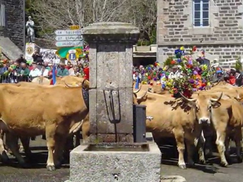 L'Aubrac