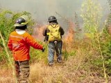 Verheerende Waldbrände in Chile breiten sich aus