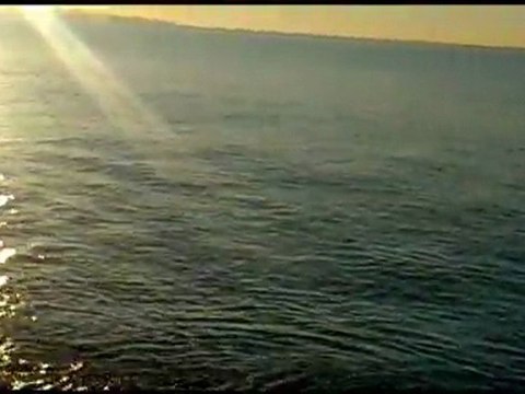 CULTIVA ZIPN ZIGGY SEA BASS TOPWATER LURES PART 1 LEVREK AVI sea bass 2012