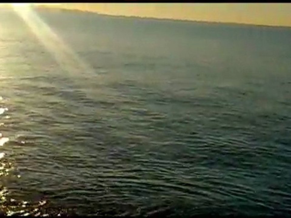 CULTIVA  ZIPN ZIGGY SEA BASS TOPWATER LURES PART 1   LEVREK AVI sea bass 2012