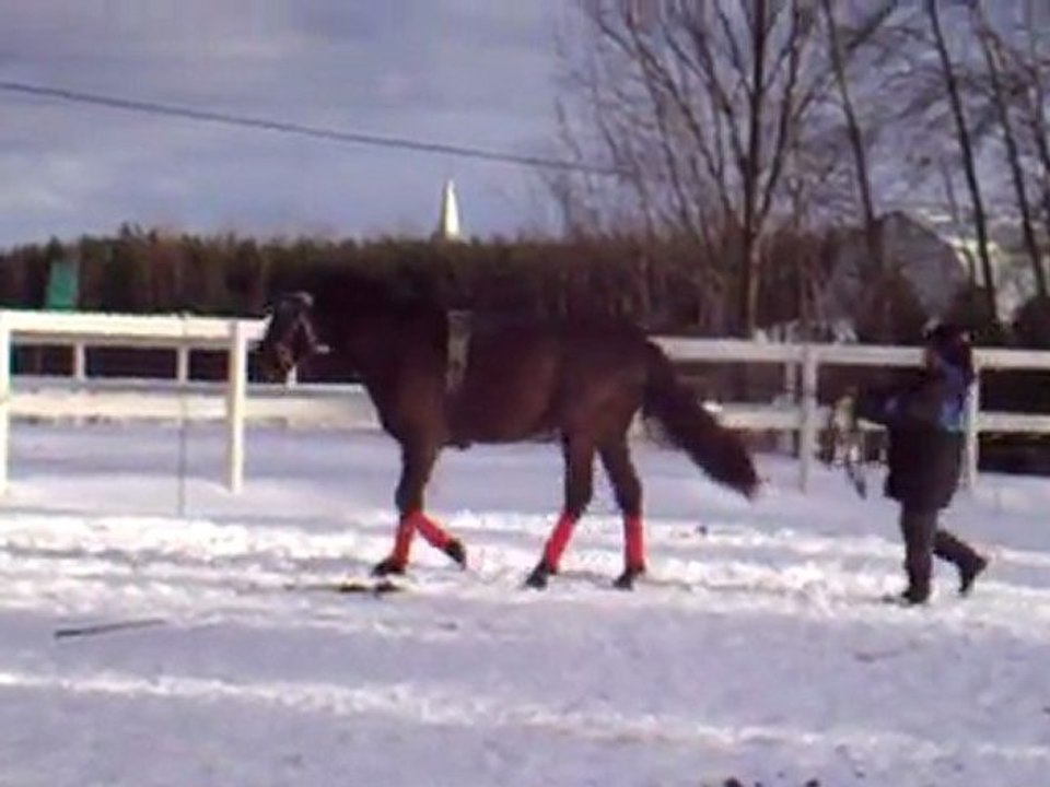 Logan début aux rênes longues.