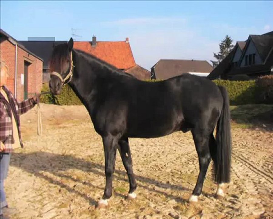 Equinox Sunrise Certification