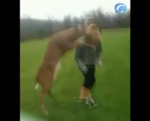 Un ciervo, enamorado de una adolescente