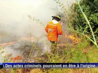 Plus 40.000 hectares brûlés dans des incendies au Chili