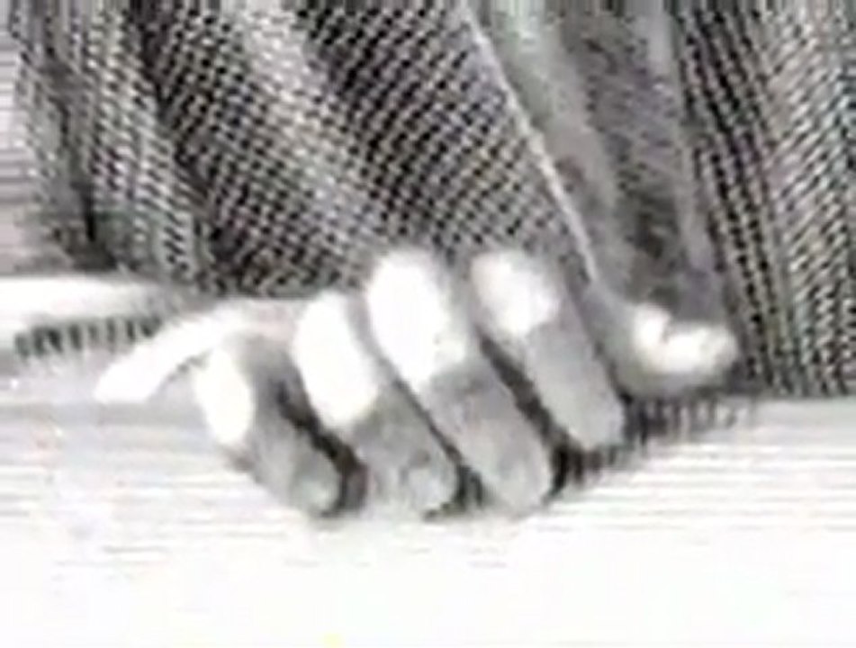 The Forbidden Book: History of the Bible (1986)