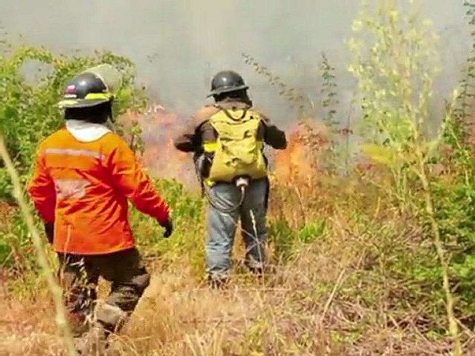 Chile: 40.000 hectáreas quemadas