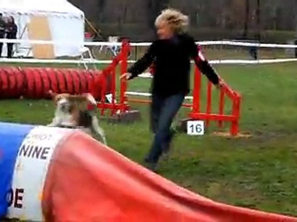 arthur du Canis club pessacais illacais la brede decembre 2011