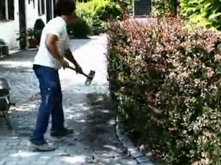 Dumont Fernand - Aménagement extérieur Belgique