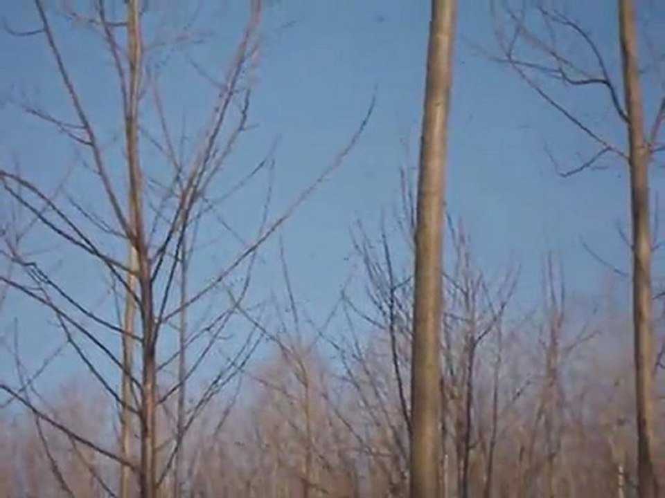 "4."1.2"12..tahtalı