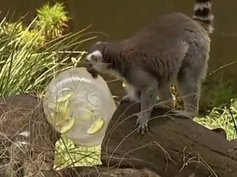 Australian heatwave sparks fires