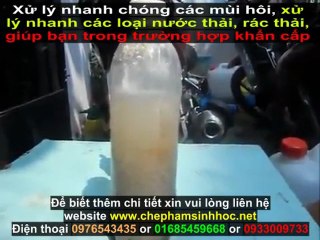 Xử lý nước thải thủy sản - Xử lý mùi hôi nước thải thủy sản nhanh chóng, hiệu quả